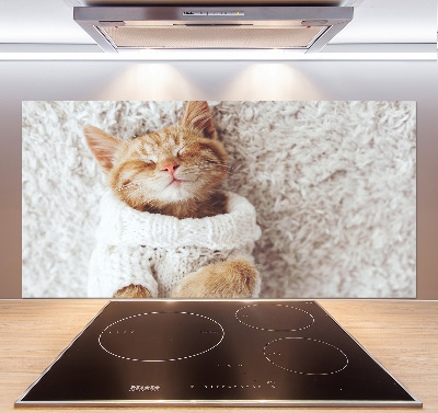 Glass splashback A kitten in a sweater