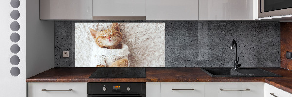 Glass splashback A kitten in a sweater