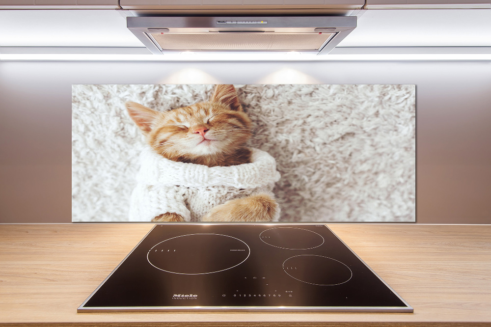 Glass splashback A kitten in a sweater