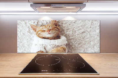 Glass splashback A kitten in a sweater