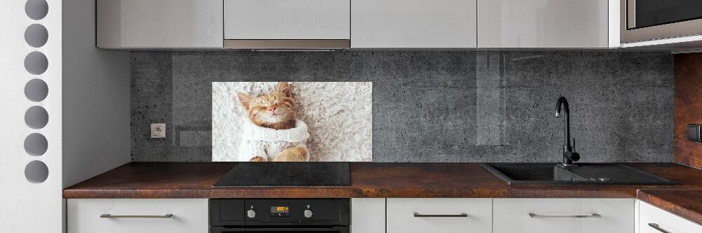 Glass splashback A kitten in a sweater