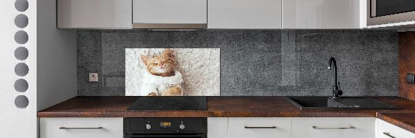 Glass splashback A kitten in a sweater