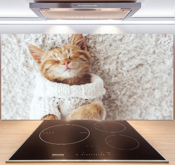 Glass splashback A kitten in a sweater