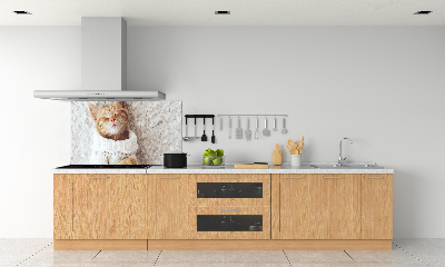 Glass splashback A kitten in a sweater