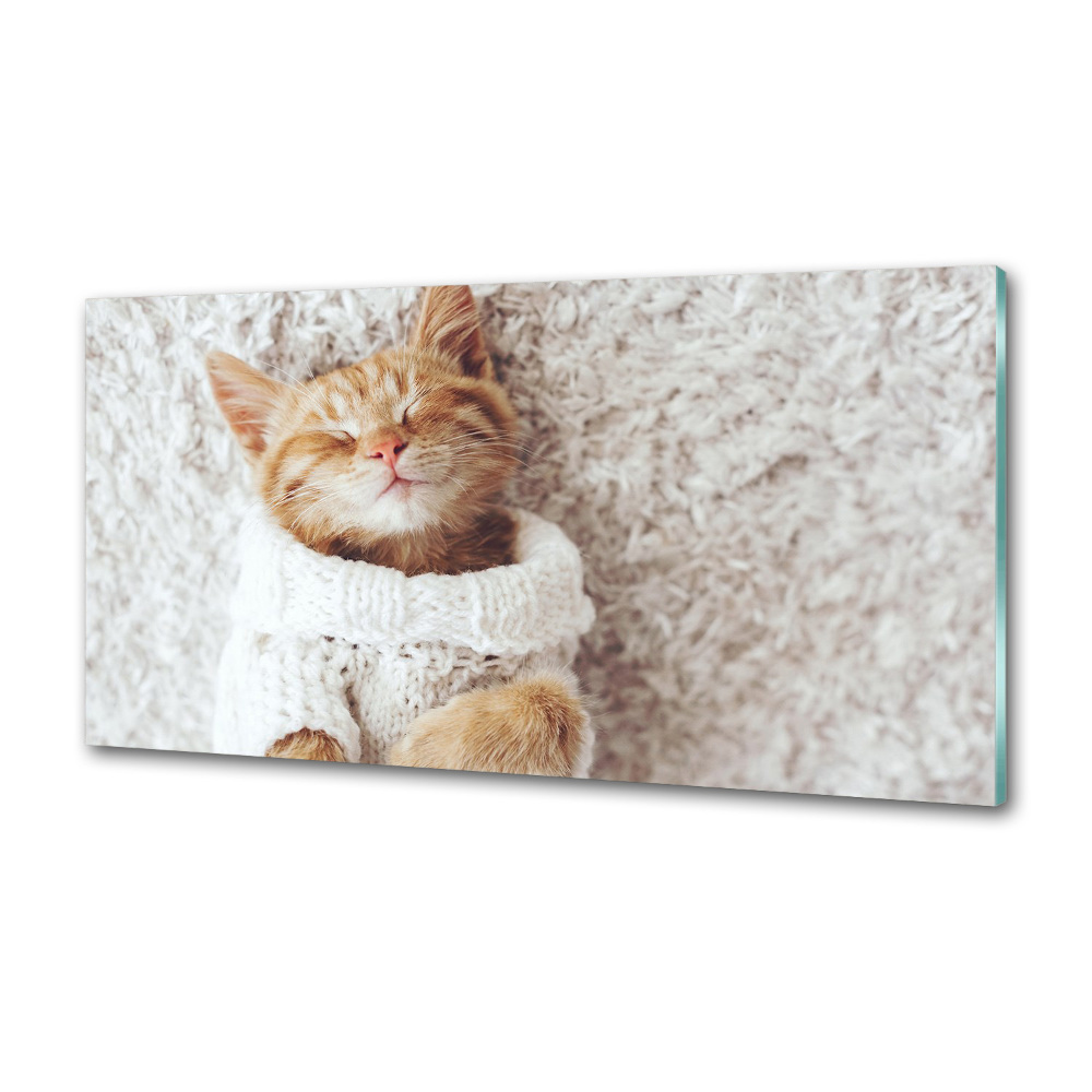 Glass splashback A kitten in a sweater