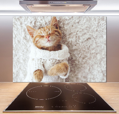 Glass splashback A kitten in a sweater