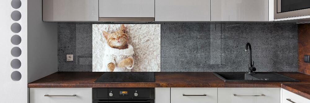 Glass splashback A kitten in a sweater