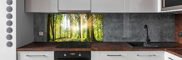 Cooker splashback Forest in the sun