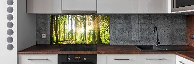 Cooker splashback Forest in the sun