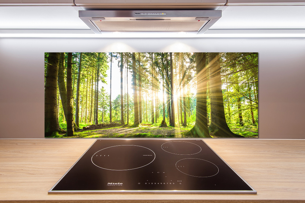 Cooker splashback Forest in the sun