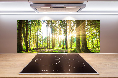 Cooker splashback Forest in the sun