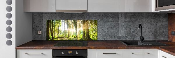 Cooker splashback Forest in the sun