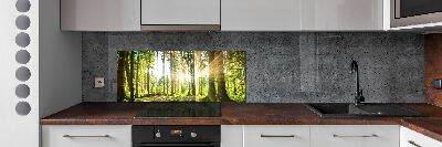 Cooker splashback Forest in the sun