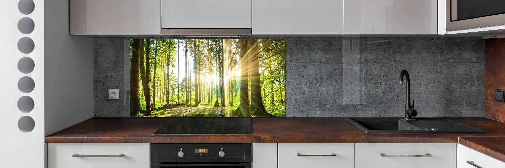 Cooker splashback Forest in the sun