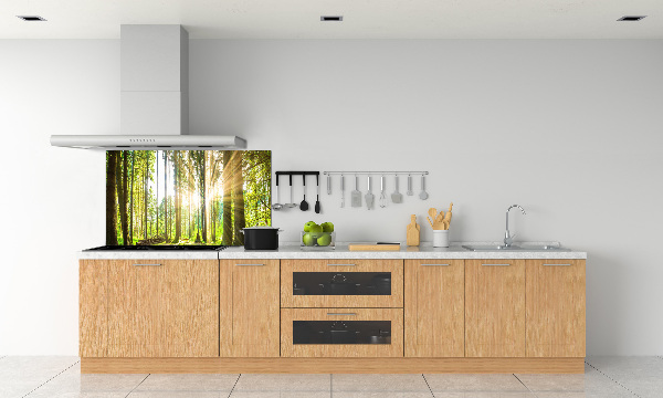 Cooker splashback Forest in the sun