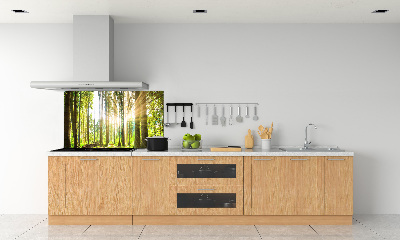 Cooker splashback Forest in the sun