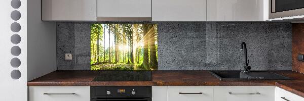 Cooker splashback Forest in the sun