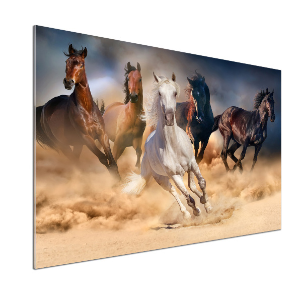 Glass splashback Horses at gallop