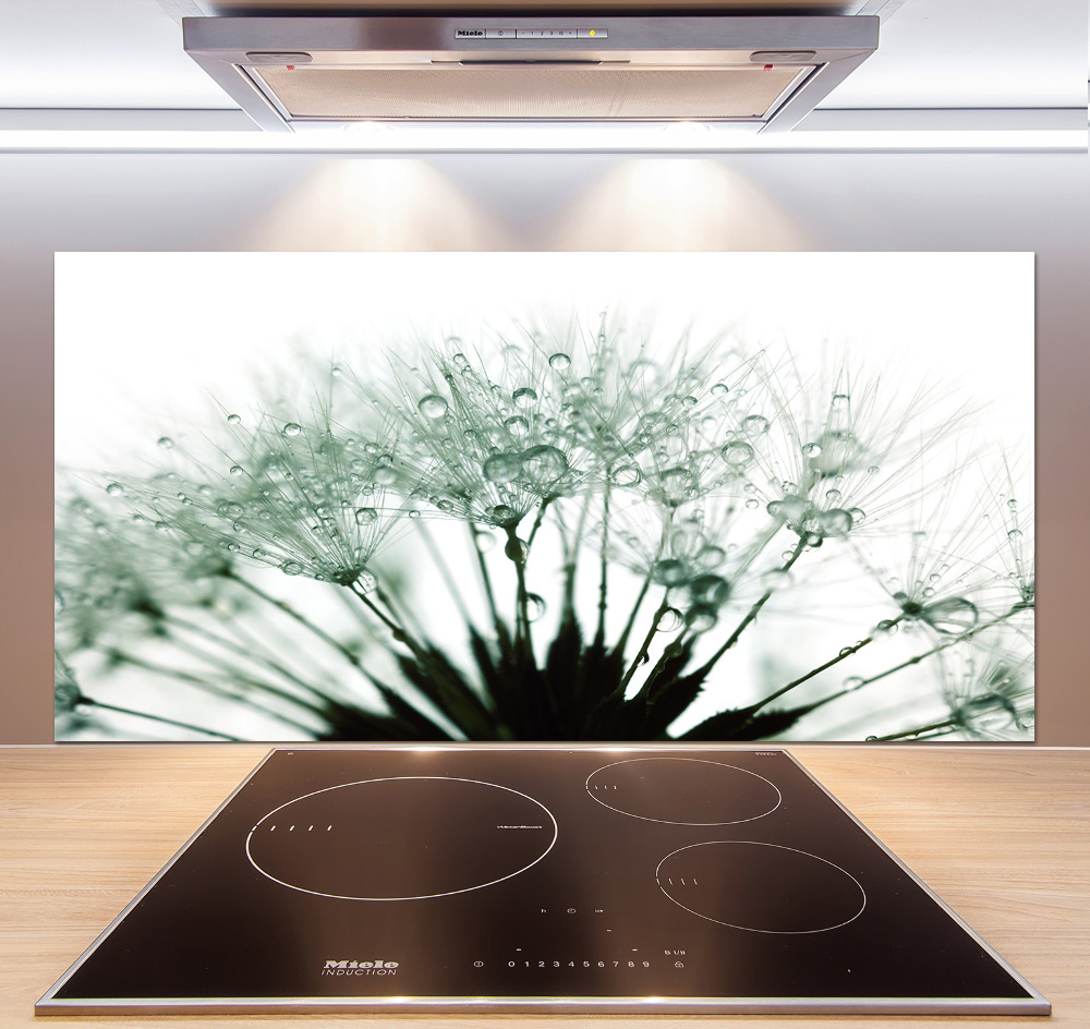 Hob splashback Dandelion seeds