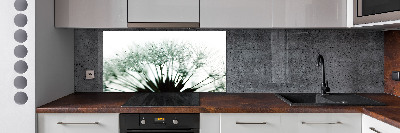 Hob splashback Dandelion seeds