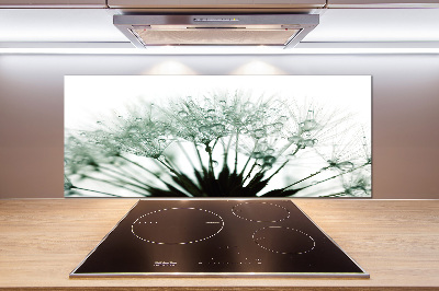 Hob splashback Dandelion seeds