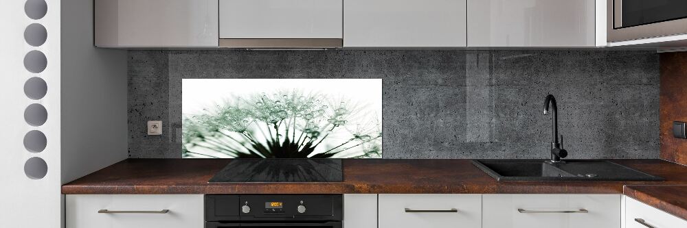 Hob splashback Dandelion seeds