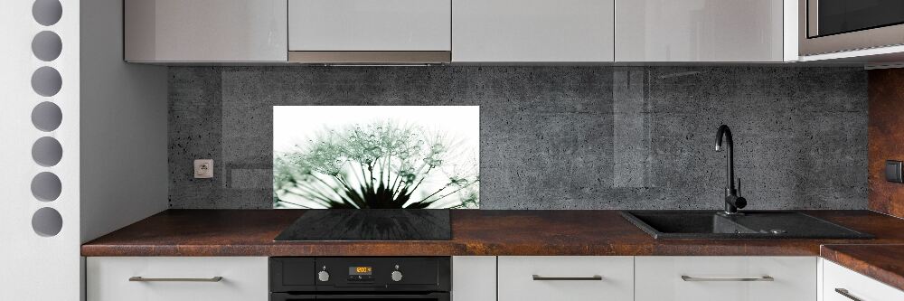 Hob splashback Dandelion seeds