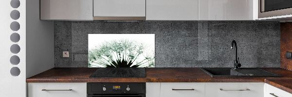 Hob splashback Dandelion seeds