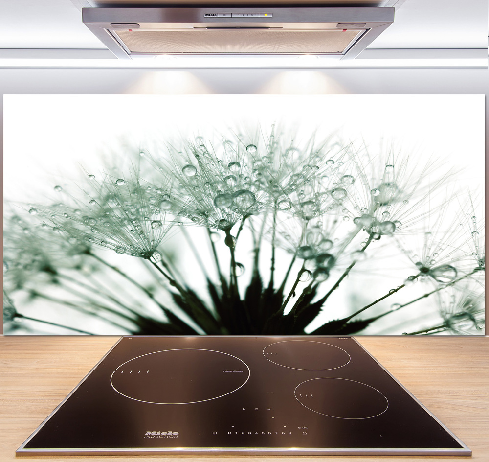 Hob splashback Dandelion seeds