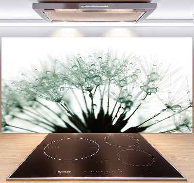 Hob splashback Dandelion seeds