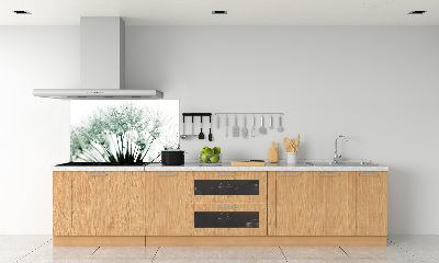 Hob splashback Dandelion seeds