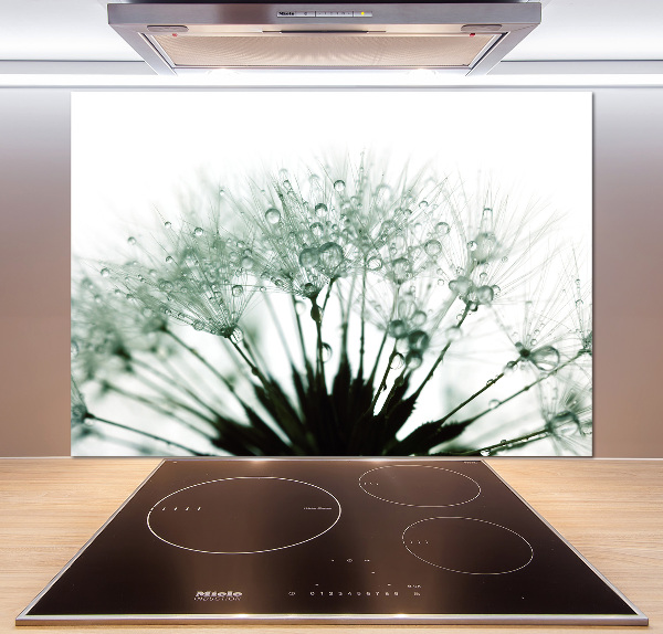 Hob splashback Dandelion seeds