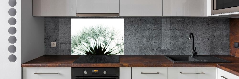 Hob splashback Dandelion seeds