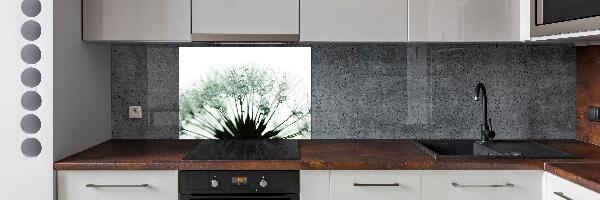 Hob splashback Dandelion seeds