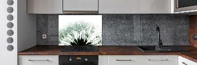 Hob splashback Dandelion seeds