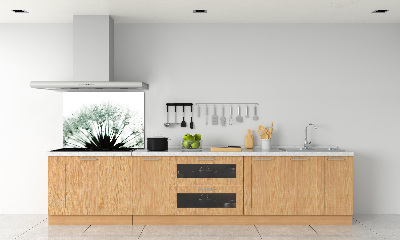 Hob splashback Dandelion seeds