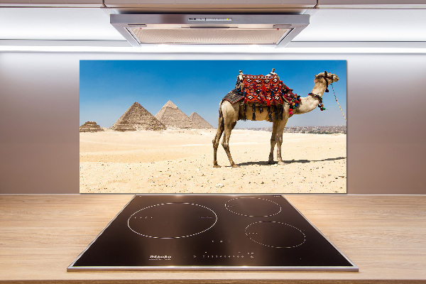 Kitchen splashback A camel in Cairo