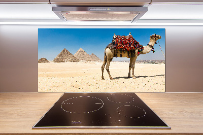 Kitchen splashback A camel in Cairo