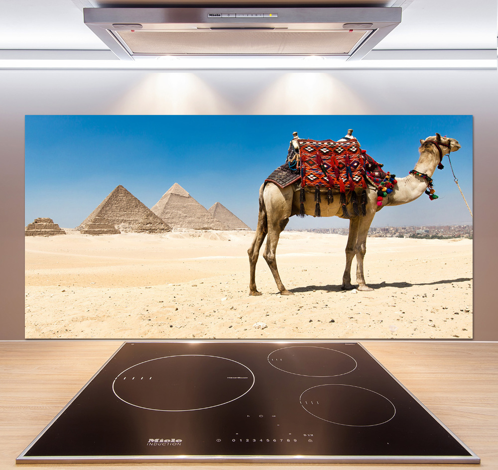 Kitchen splashback A camel in Cairo