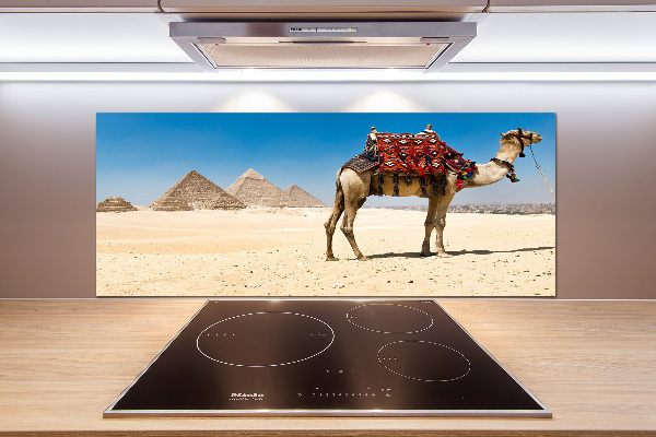 Kitchen splashback A camel in Cairo