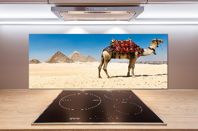 Kitchen splashback A camel in Cairo