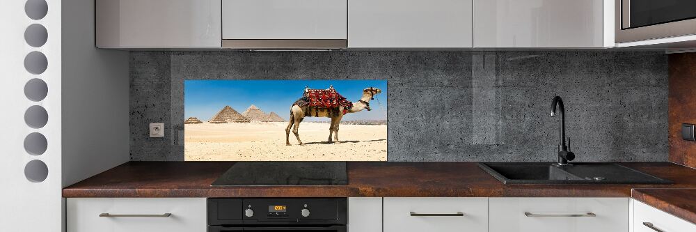 Kitchen splashback A camel in Cairo