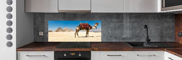 Kitchen splashback A camel in Cairo