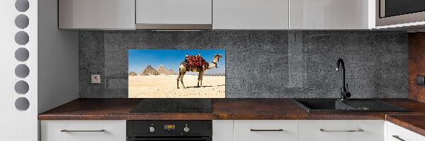 Kitchen splashback A camel in Cairo