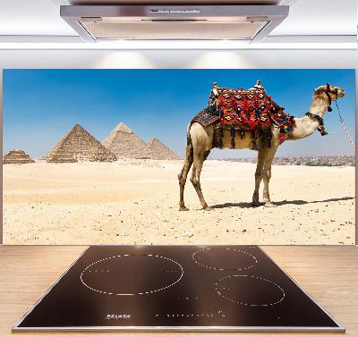 Kitchen splashback A camel in Cairo