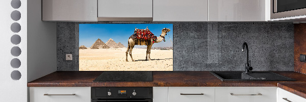 Kitchen splashback A camel in Cairo