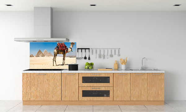 Kitchen splashback A camel in Cairo