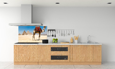 Kitchen splashback A camel in Cairo