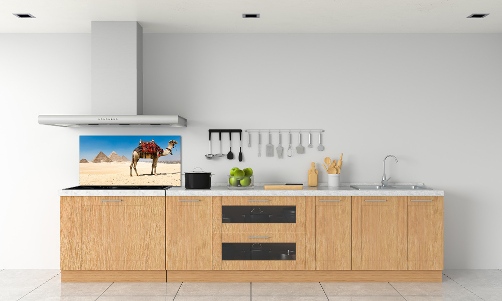 Kitchen splashback A camel in Cairo