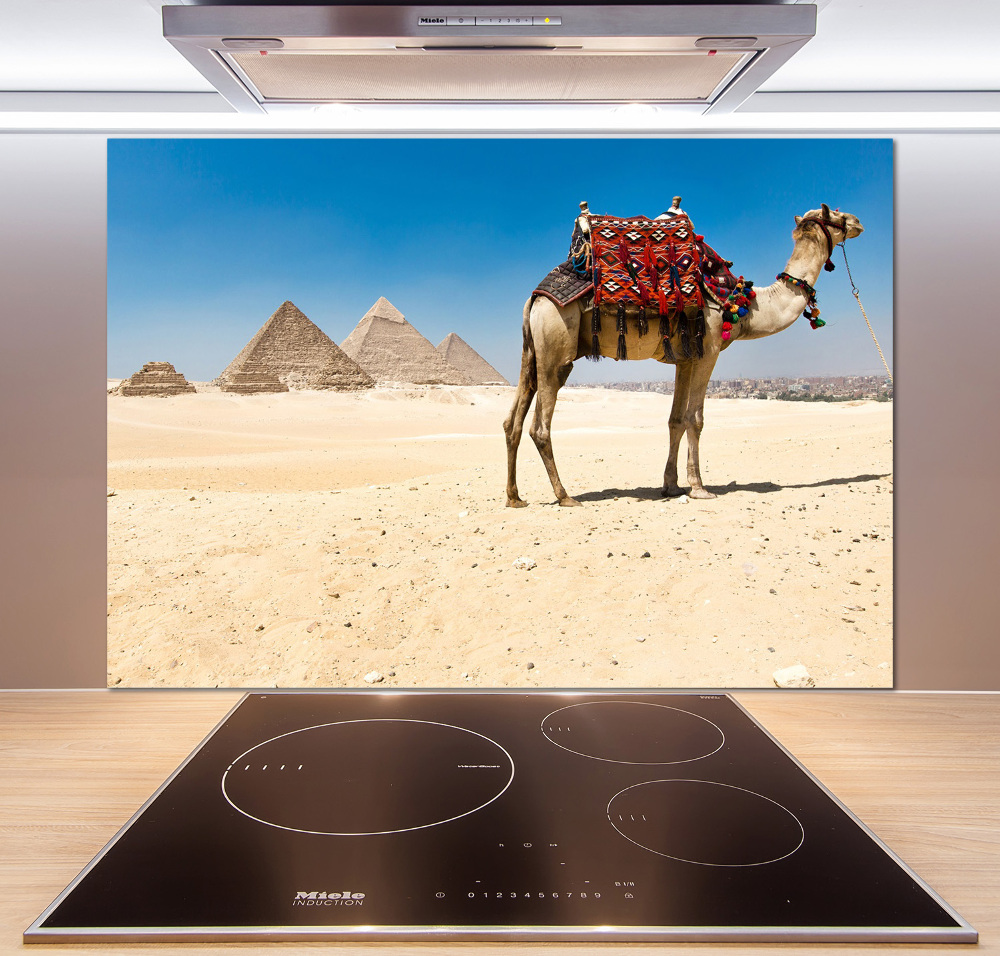 Kitchen splashback A camel in Cairo